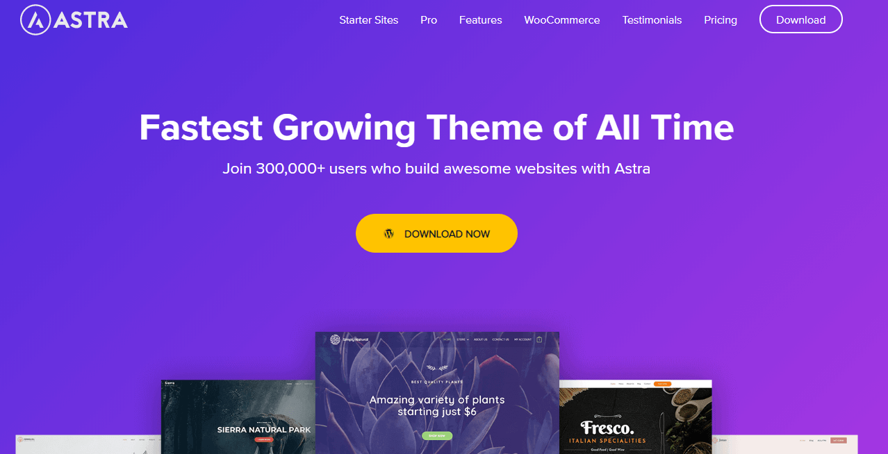 15 Best Themes for Elementor Websites 4 Astra- best theme for Elementor