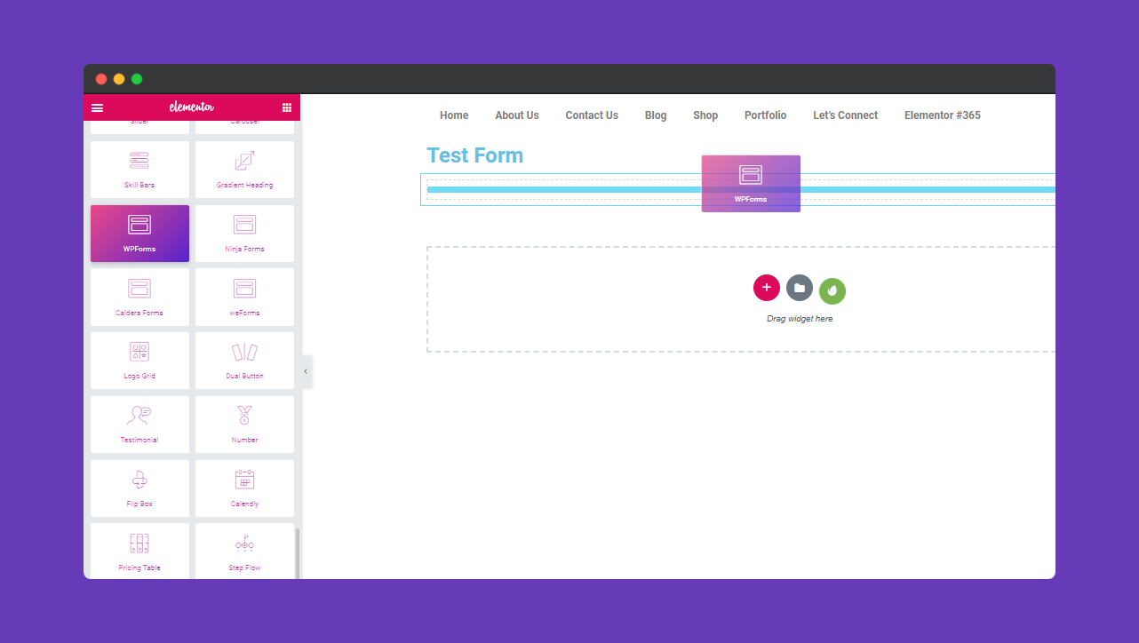 WP Forms 1 01. Adding wp form