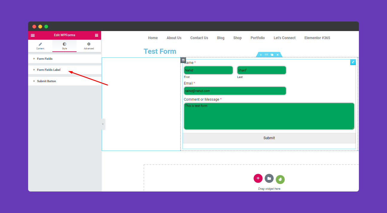 WP Forms 5 05. Adding wp form