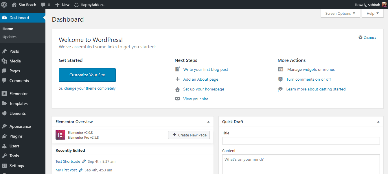 How To Use Elementor: An Easy Way To Get Started 19 insert shortcode