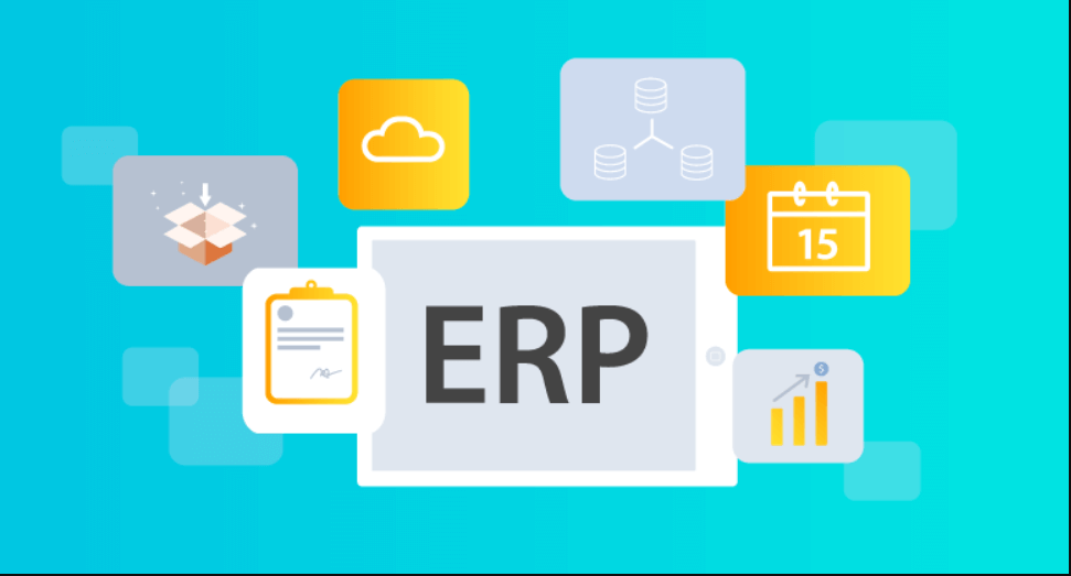 How To Integrate An ERP Software Into Your WordPress Business Site 2 ERP integration