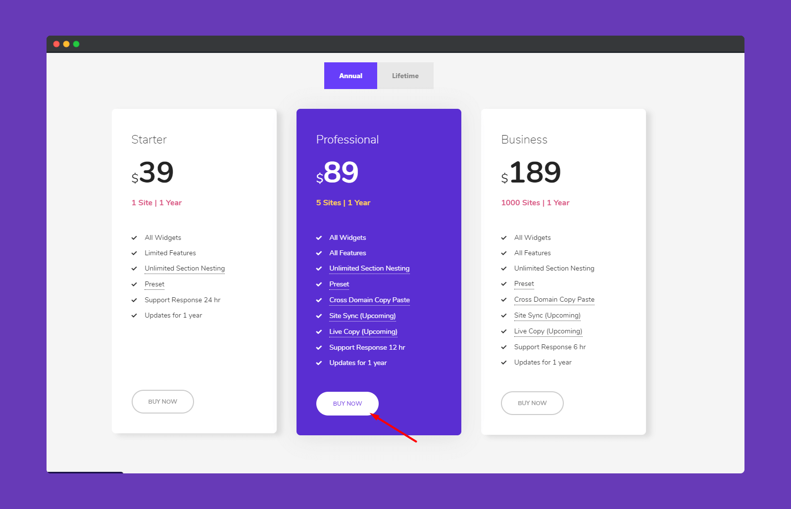 Purchase Process 1 Pricing page