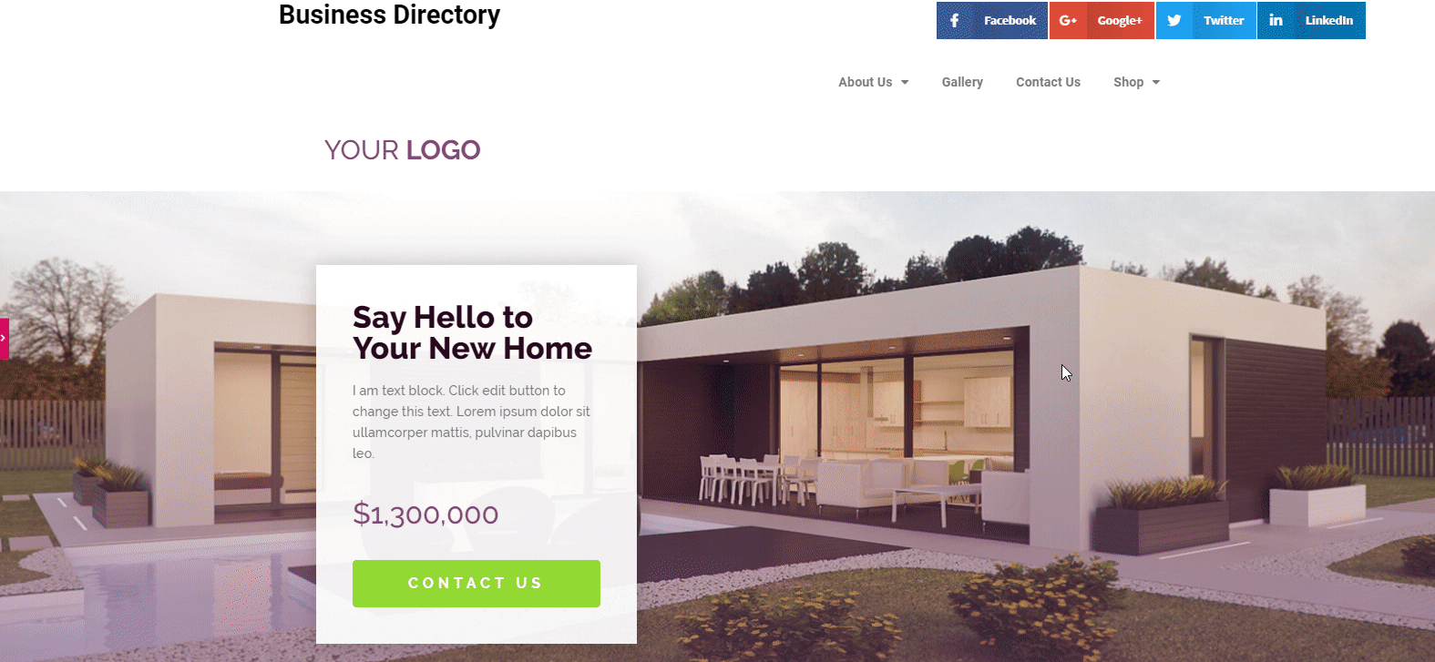 Build a Professional Website With Elementor and Happy Addons 6 Professional websites