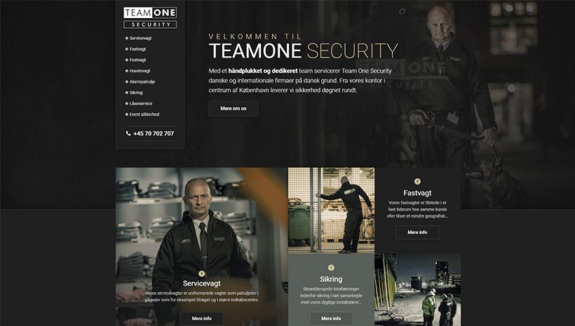 Top 10 Elementor Websites (Live Examples) 9 Team One Security