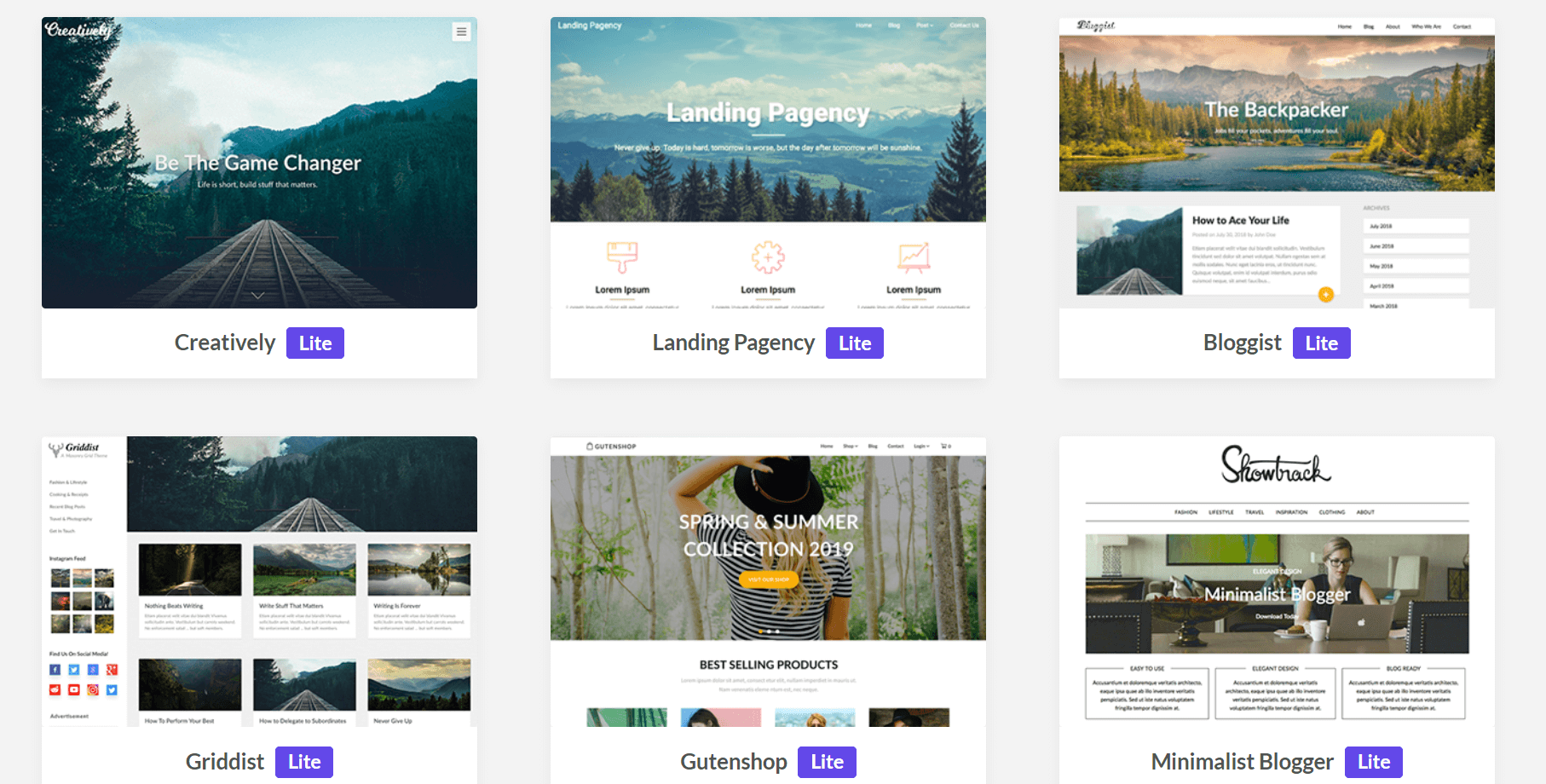 SuperbThemes Review 2 themes