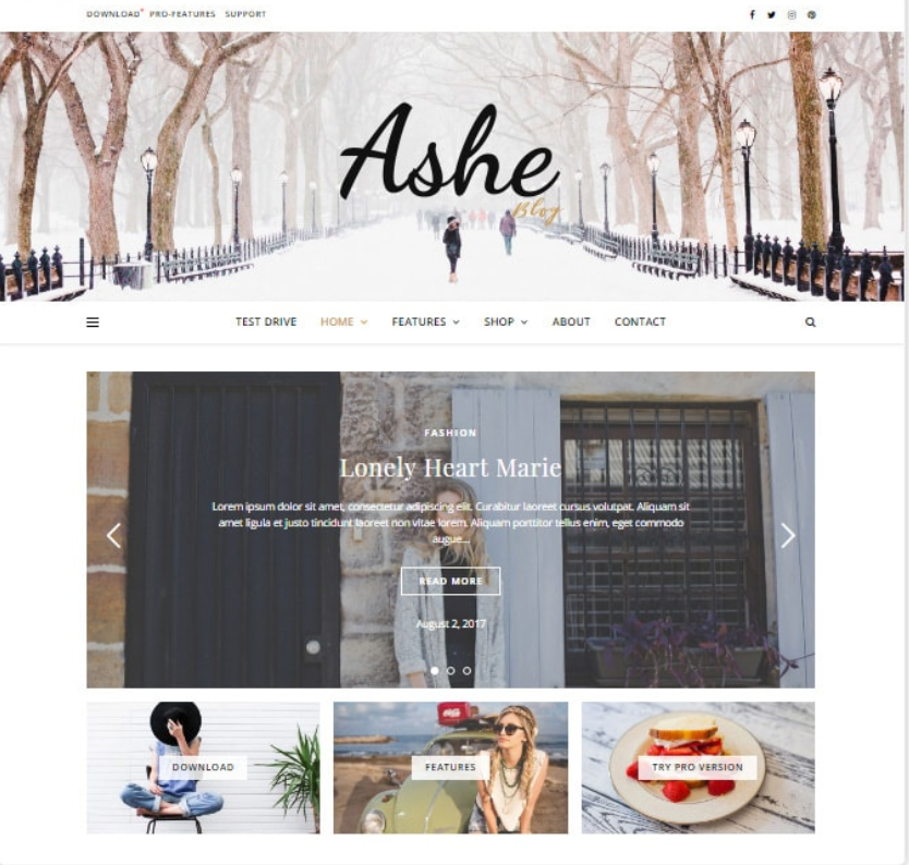 5+ Best Elementor WordPress Themes 5 Beginner Friendly Elementor WordPress Theme