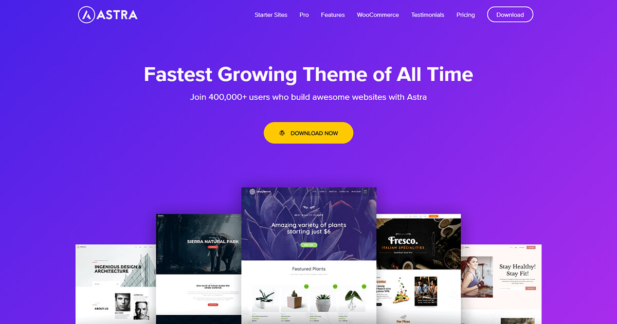 10 Best WordPress Starter Themes (How to Choose The Right One?) 2 astra-wordpress-starter-theme
