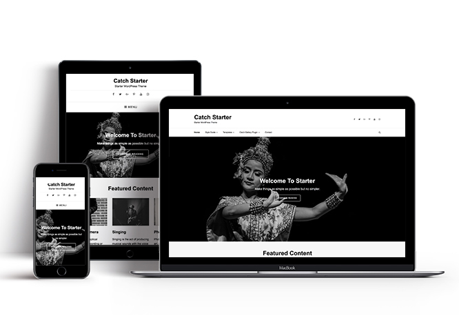10 Best WordPress Starter Themes (How to Choose The Right One?) 10 catch-starter-starter-theme