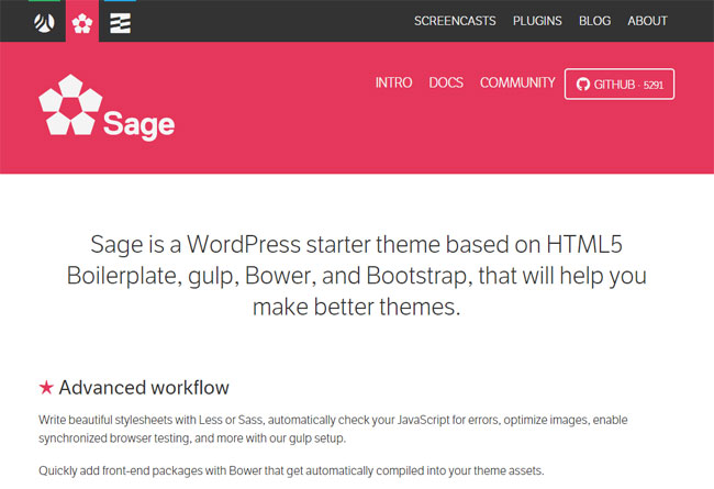 10 Best WordPress Starter Themes (How to Choose The Right One?) 7 sage-wordpress-starter-theme