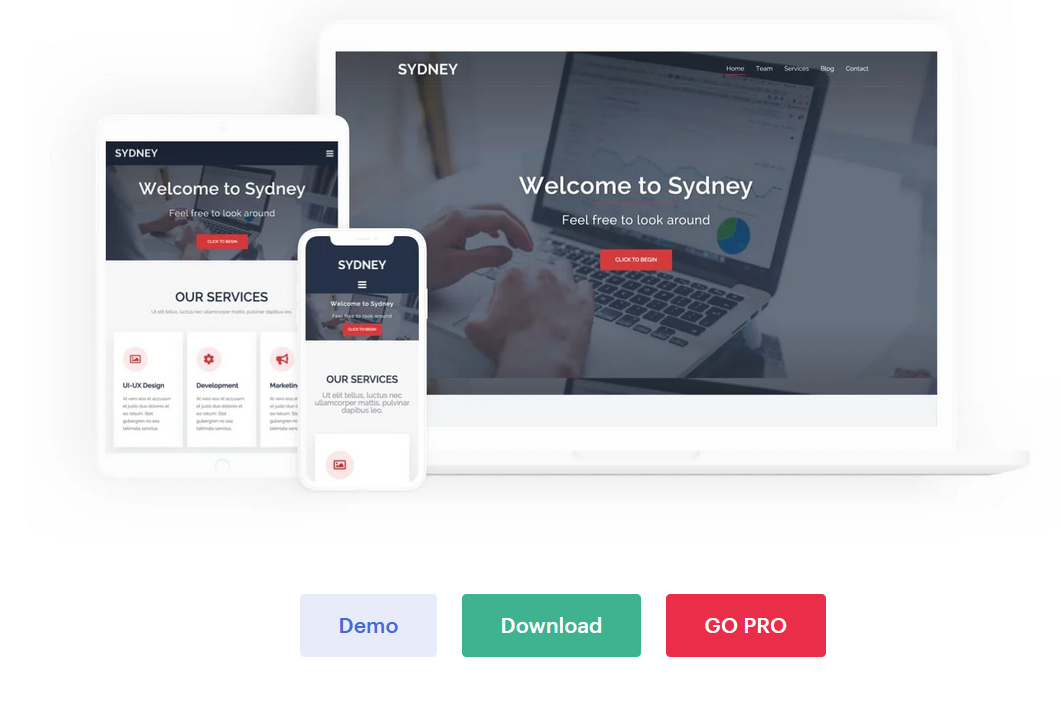 5+ Best Elementor WordPress Themes 3 The One-stop Solution for Building Website