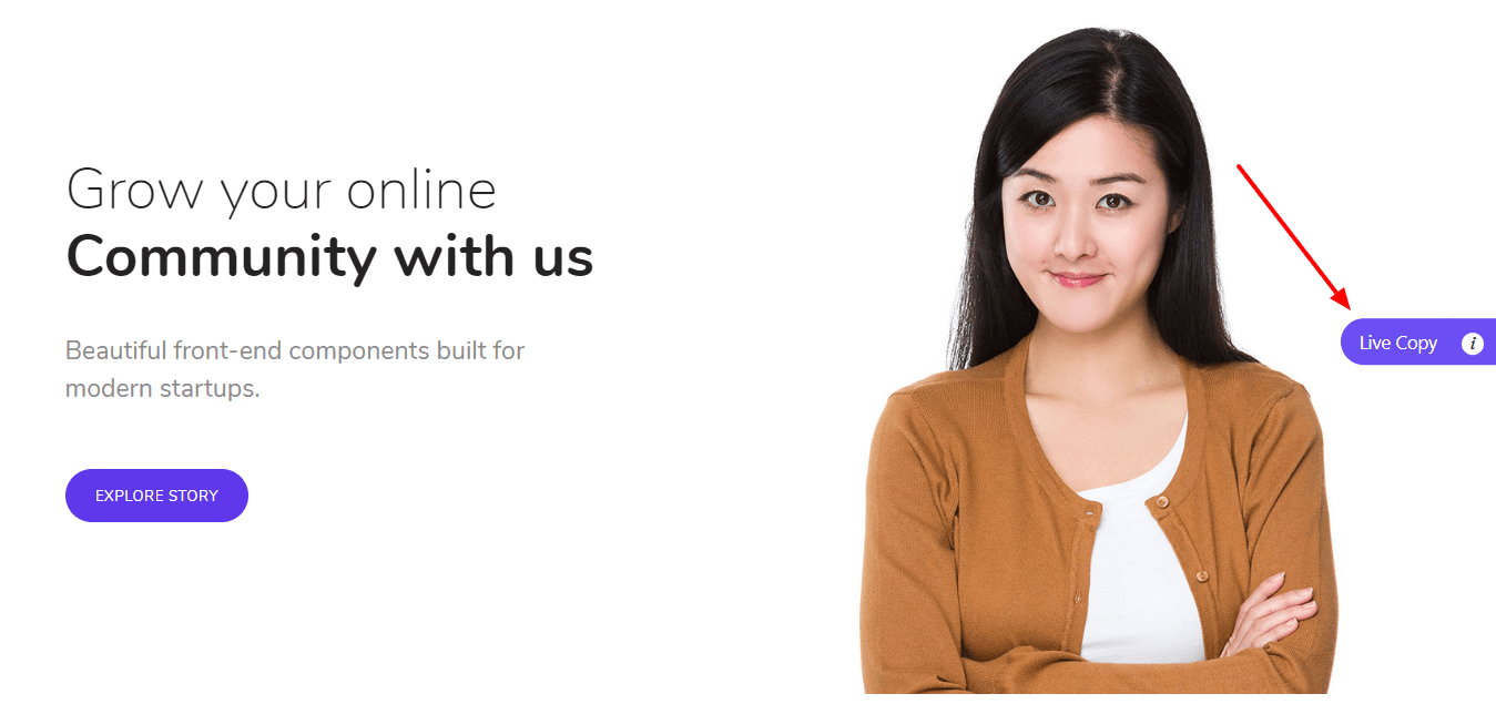 Most Useful Website Designing Templates: Shape Your Ideas within Minutes 4 Copy a design