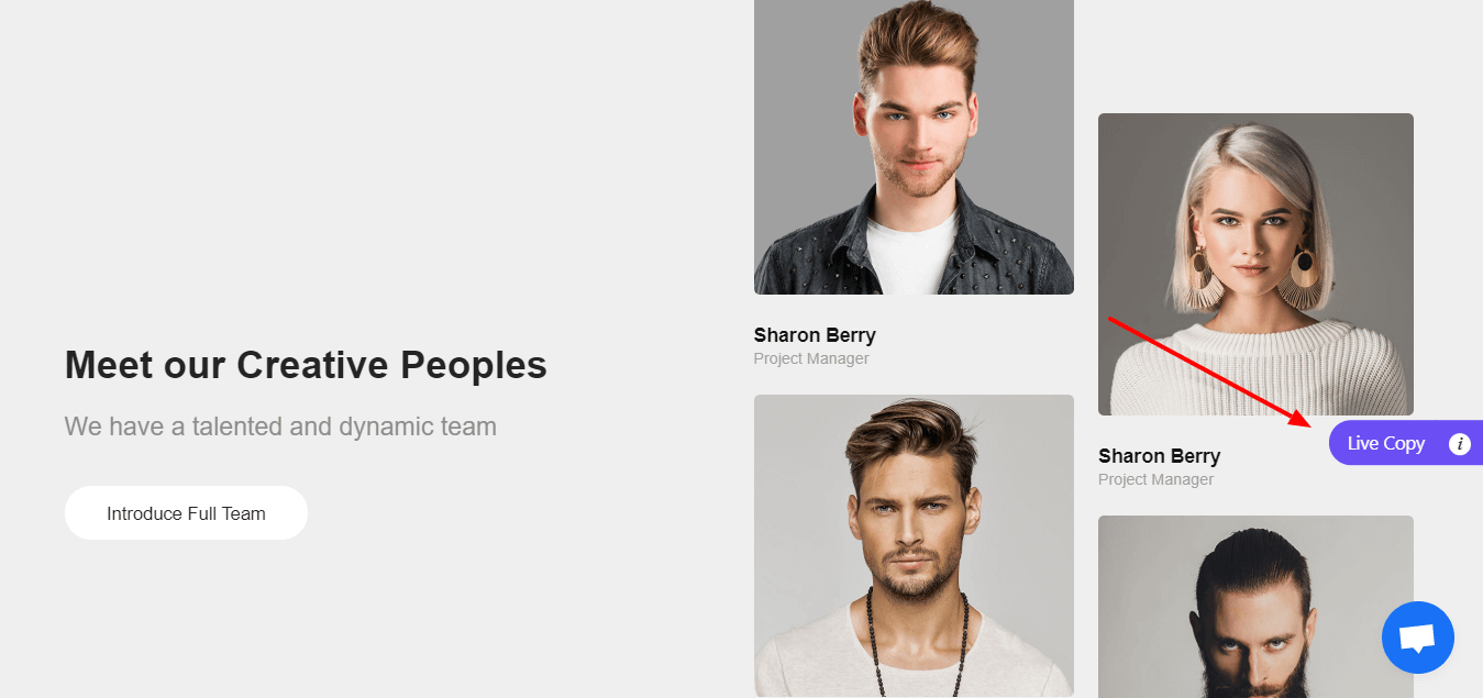 Most Useful Website Designing Templates: Shape Your Ideas within Minutes 16 Meet our team block
