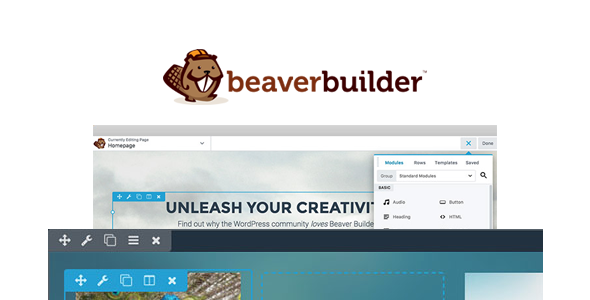 Beaver Builder Vs Elementor - Which One to Choose for Your Website? 7 designing with beaver builder