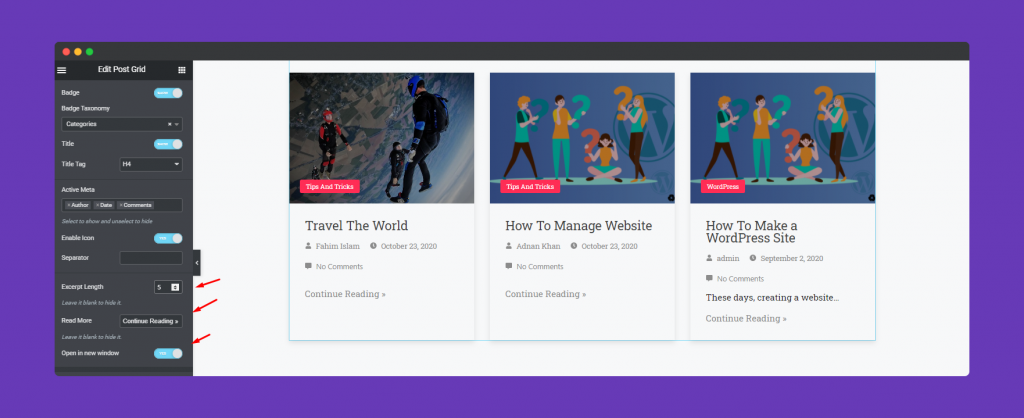 Post Grid Widget 5 Customizing Widgets