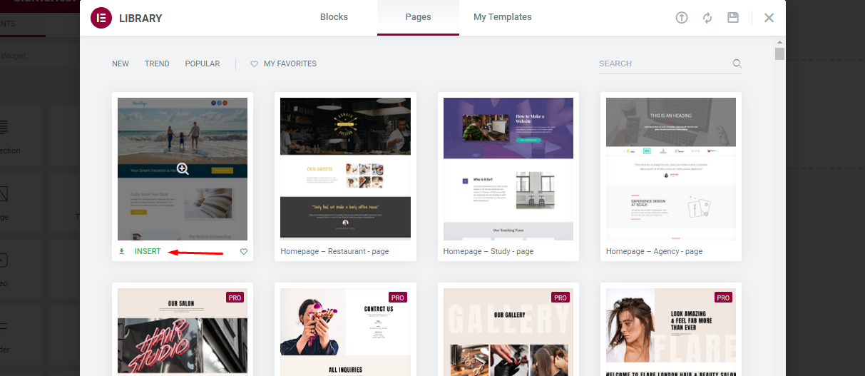 How to Use Elementor: Ultimate Guide for Beginners 18 Insert template