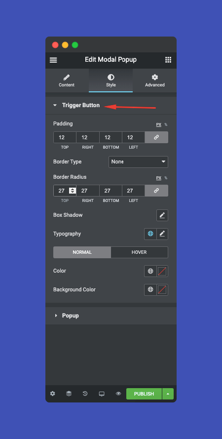 Modal Pop-up 13 button