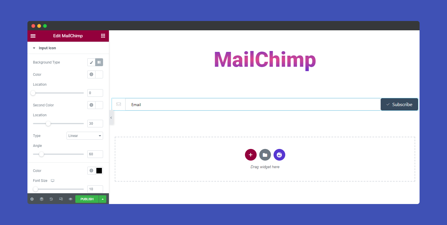 MailChimp Form 12 Style MailChimp Input Icon