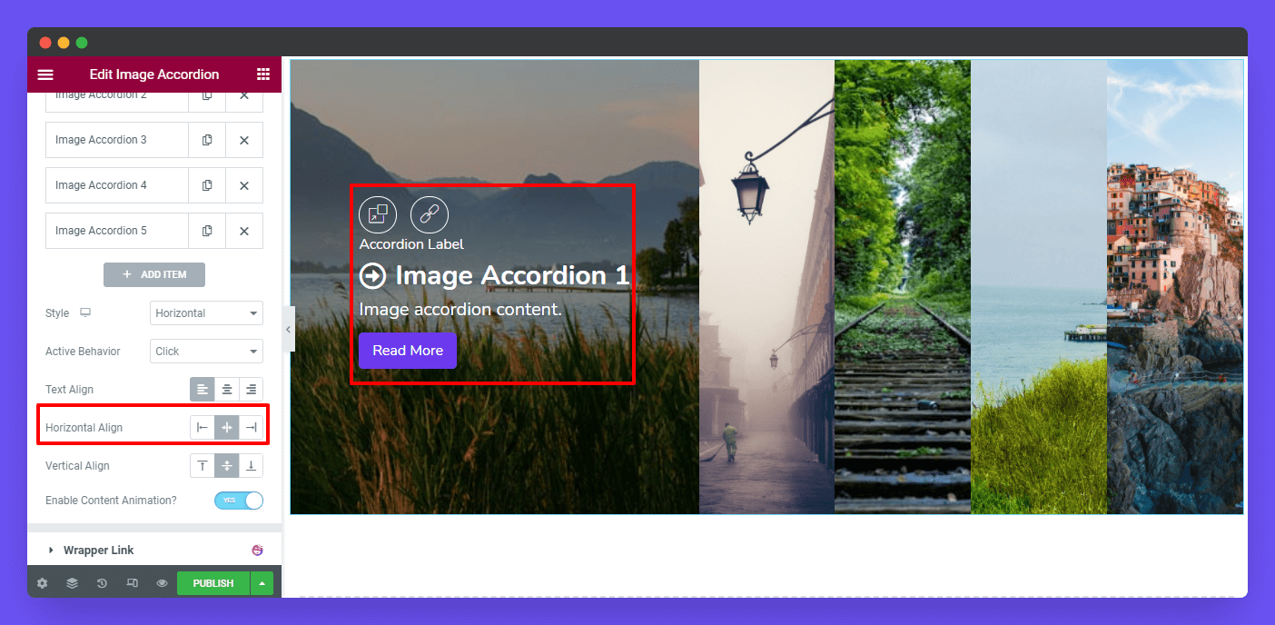 Image Accordion 16 Horizontal Align