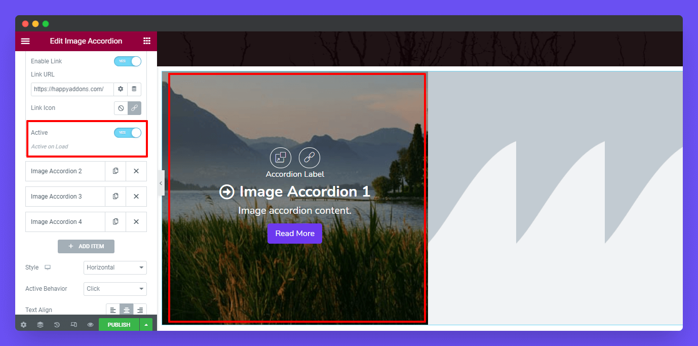 Image Accordion 12 Active