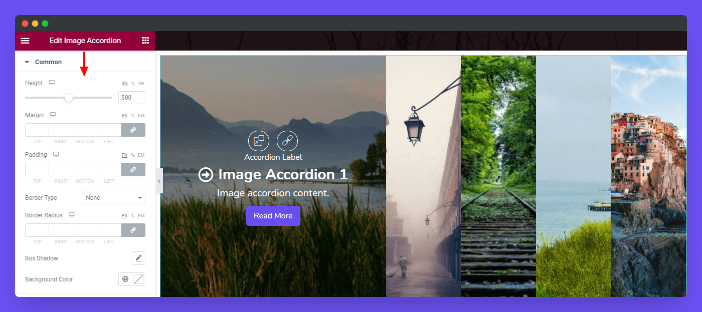 Image Accordion 20 Style Common
