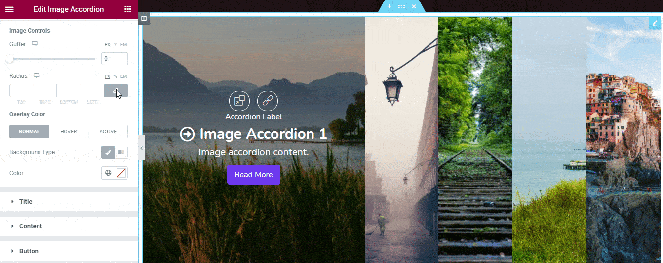 Image Accordion 21 Style Image Controls Gutter