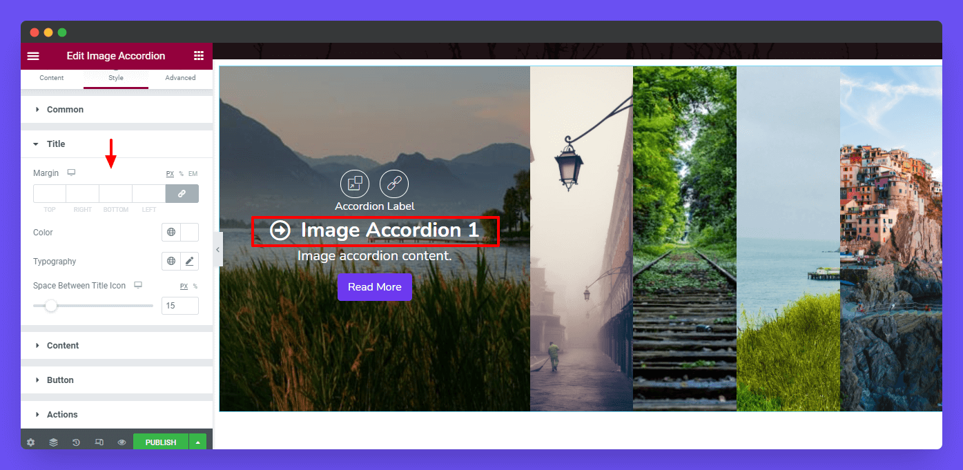 Image Accordion 22 Style Title