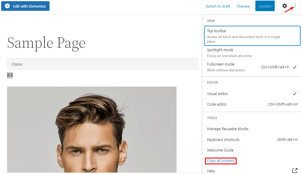 How to Duplicate a Page in WordPress- With And Without Elementor 11 Copy all content with WP Editor