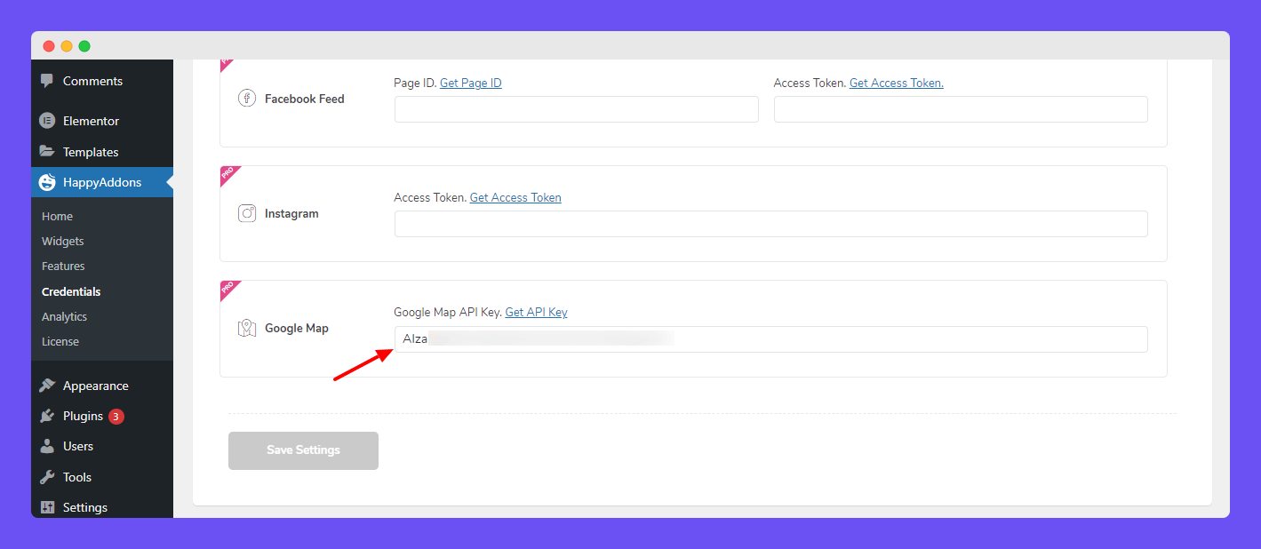 Advanced Google Map 3 Insert Google Map API Key