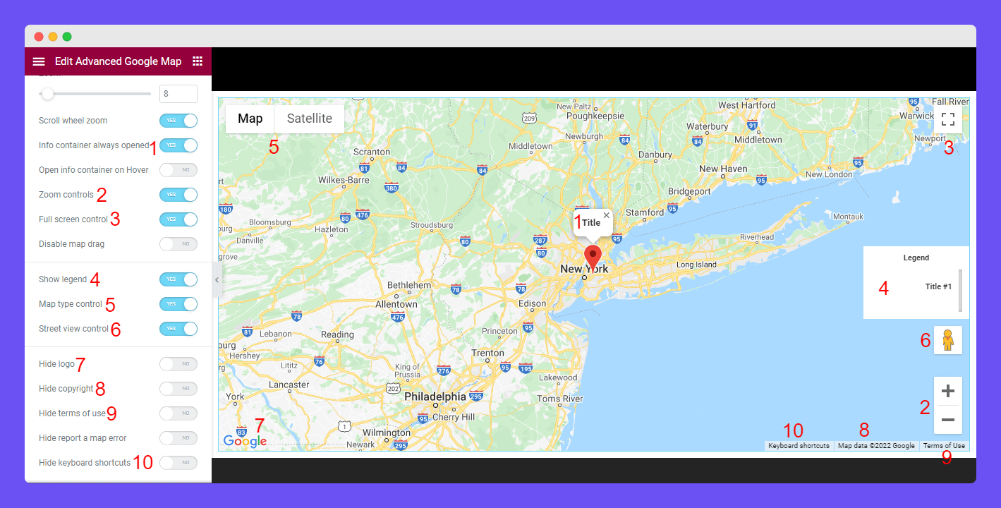 Advanced Google Map 15 Other Map Settings