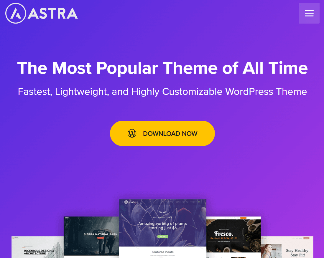10 Best WordPress Themes for Personal Websites (Free Themes) 3 Astra WordPress Theme