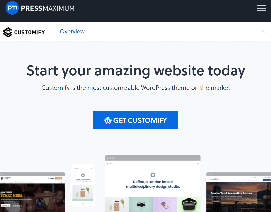 10 Best WordPress Themes for Personal Websites (Free Themes) 8 Customify WordPress Theme