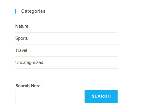 How to Add A Search Bar in WordPress within Minutes 6 Add search bar to WordPress site
