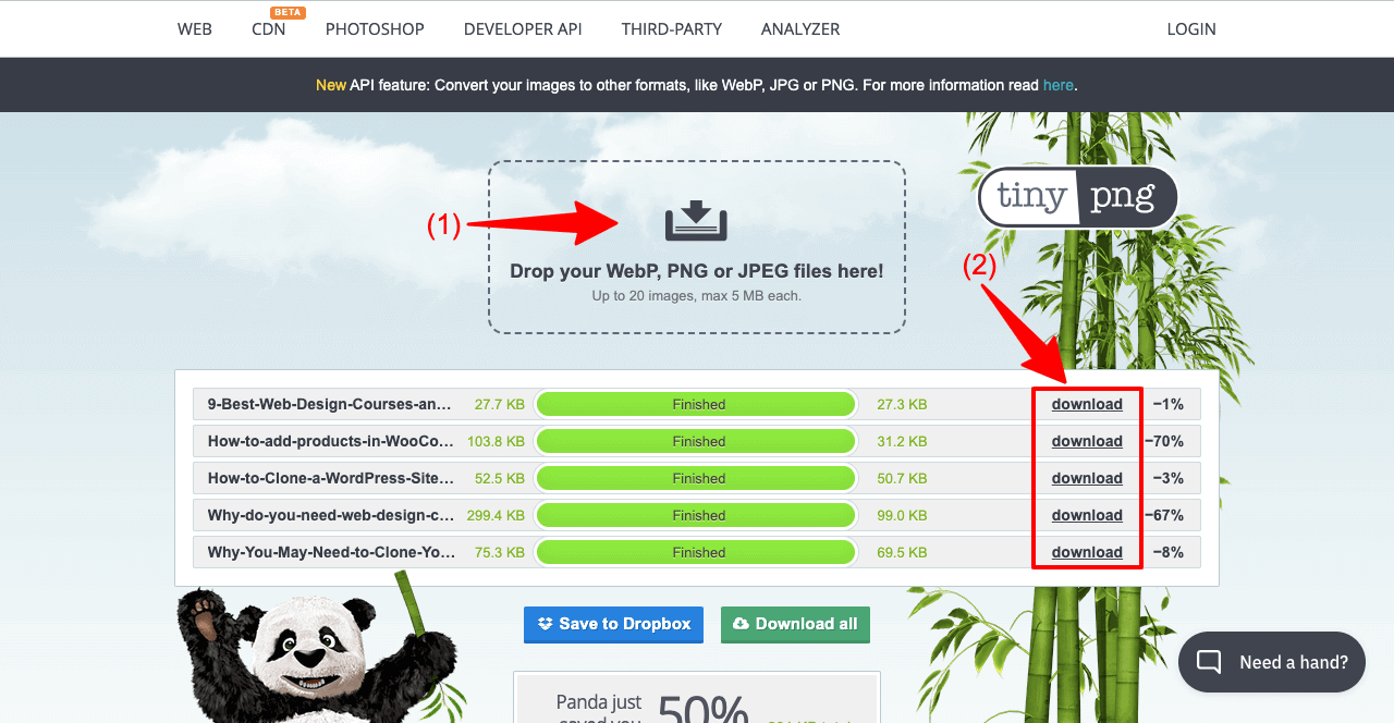 How to Optimize Images for Web and Performance (All You Need to Know) 2 How to Compress Images with TinyPNG