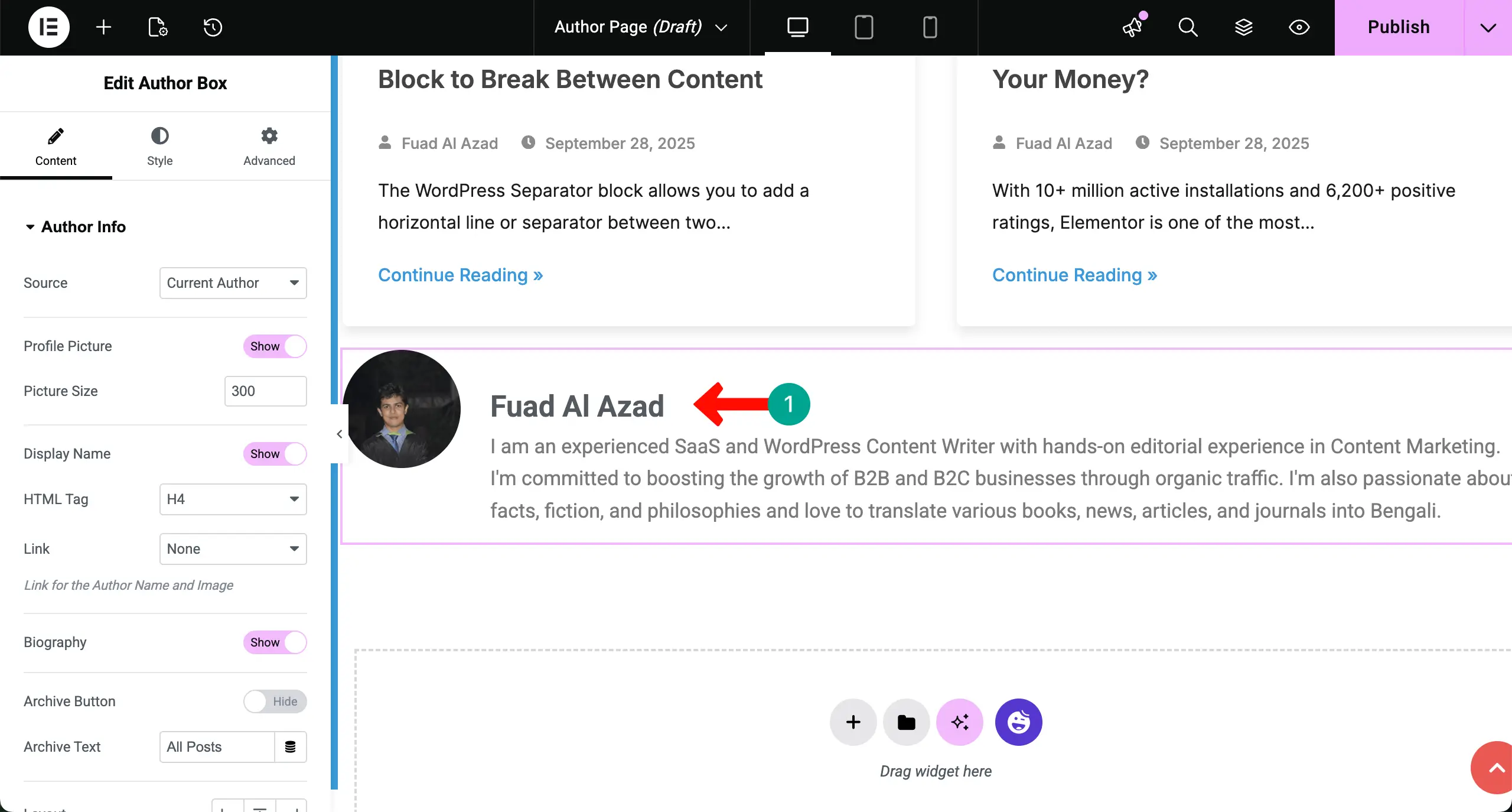 How to Create an Author Archive Page in WordPress with Elementor for Free 12 The Author Box is displayed